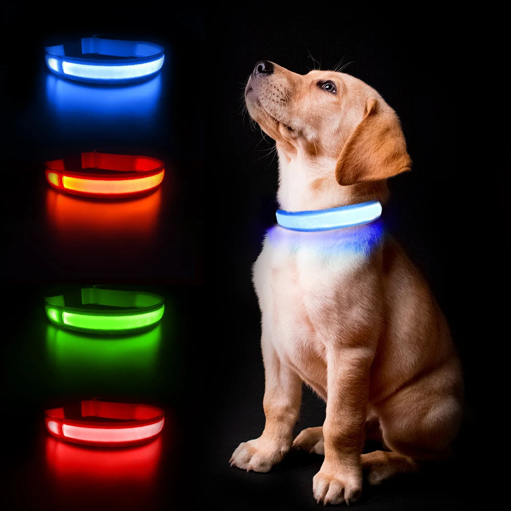 Luminous Dog Collar Water poof Safety Collars helps to be seen at night - theultimatemarketshop