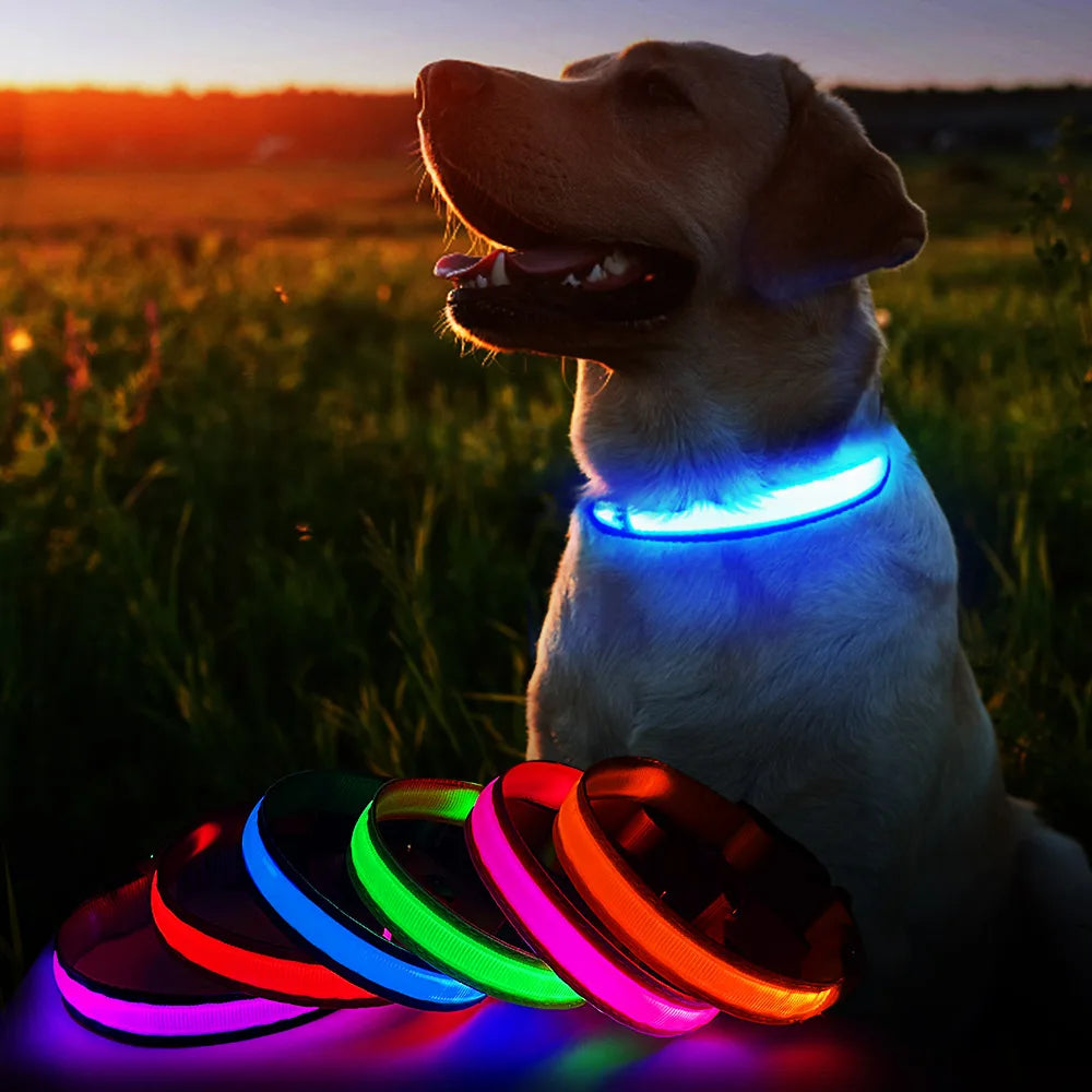 Luminous Dog Collar Water poof Safety Collars helps to be seen at night - theultimatemarketshop