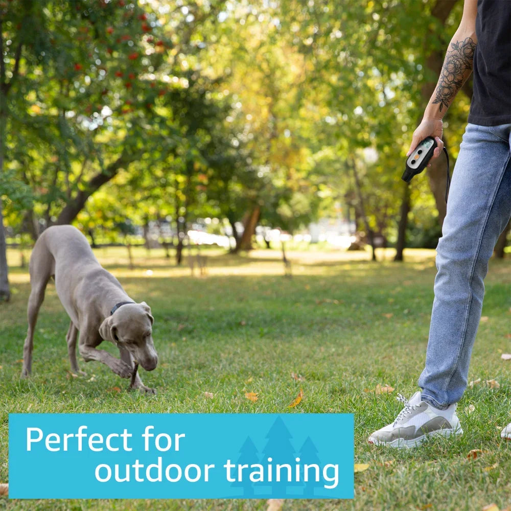 Training Shock Collar for Dogs with Remote, Fully Waterproof Vibration and Beep Electric Trainer, Small To Large