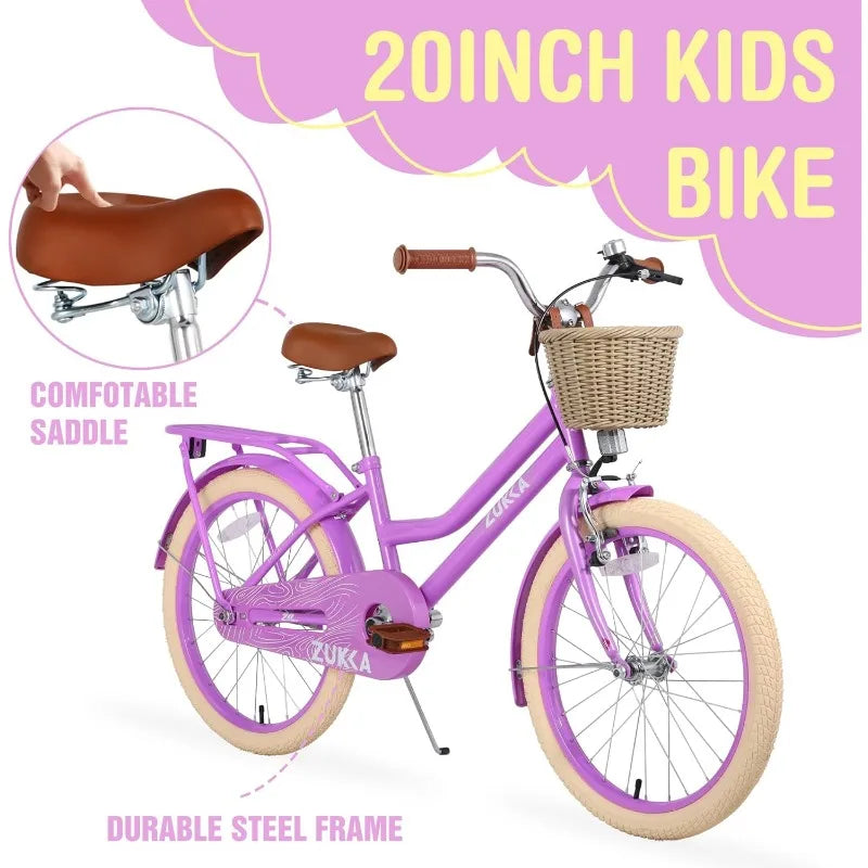 20 Inch Kid Bike Girls Bicycle with Basket, Single Speed Carbon Steel Frame Front V Brake and Rear Coaster Brake