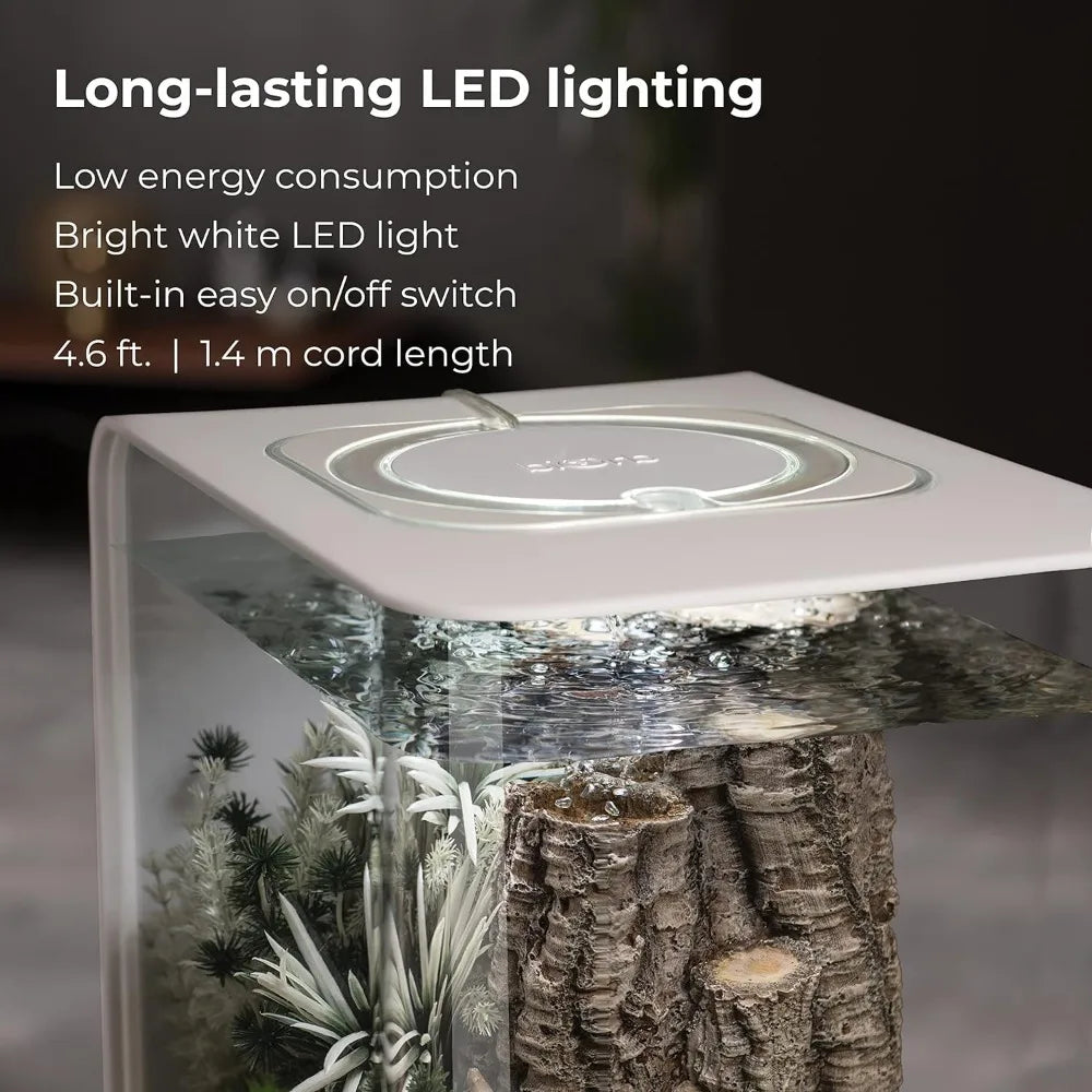 Acrylic Aquarium With White LED Light Modern Tank for Tabletop Display Fish Fishbowl Mini Aquatic Pet Supplies